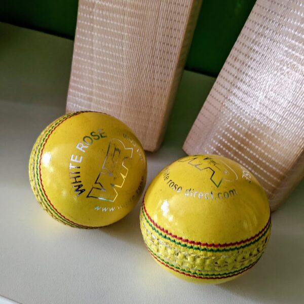 WR Indoor Leather Ball - Senior