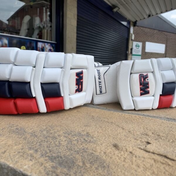 WR ST Batting Gloves (red and Blue)
