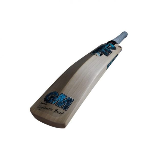 DIAMOND L540 DXM BAT 404