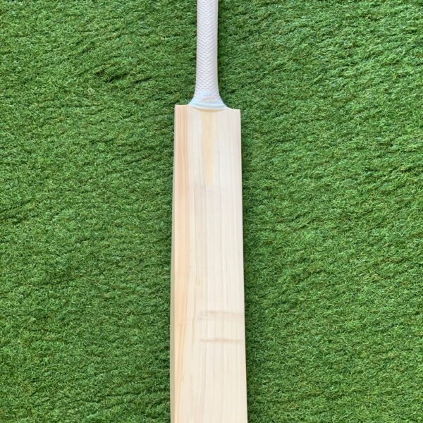 WR Grade 2 SH Low middle No.13.