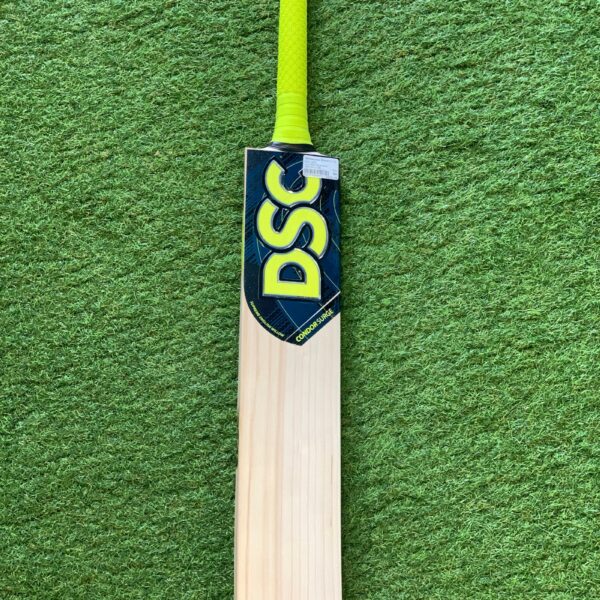 DSC CONDOR Surge No.1