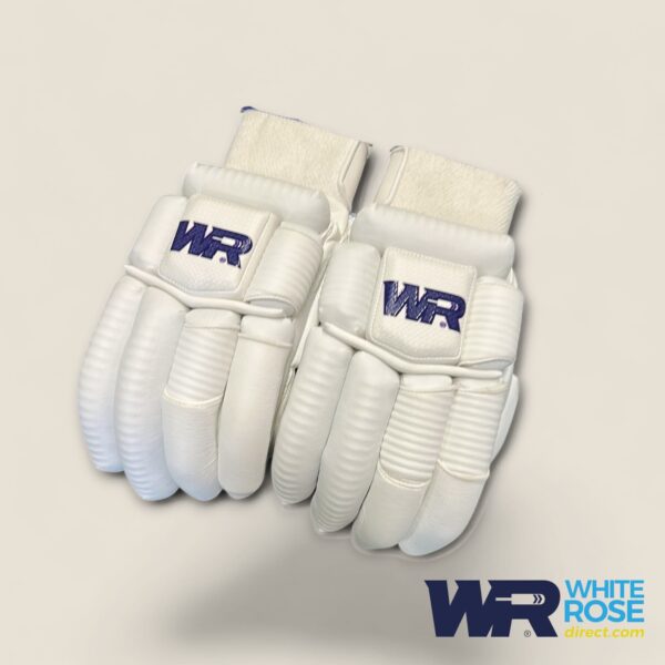 WR Test Batting Gloves
