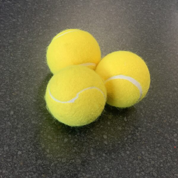 TENNIS CRICKET BALL