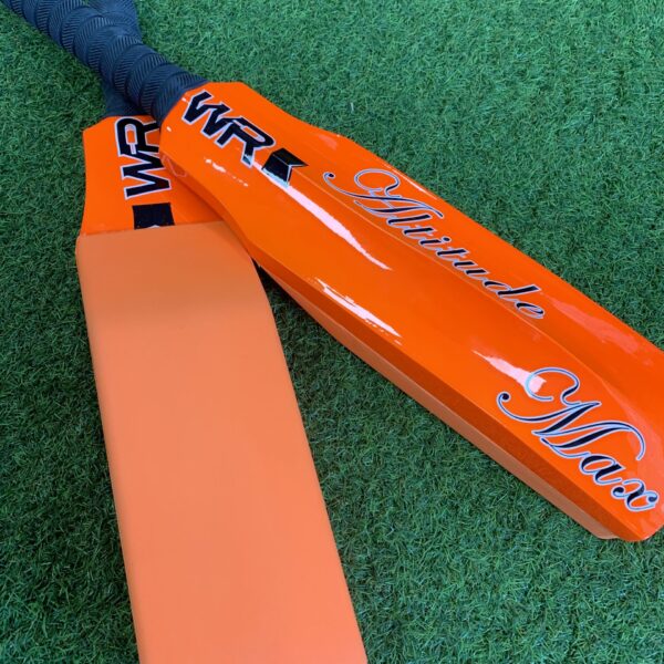 WR Altitude Max Catching Bat